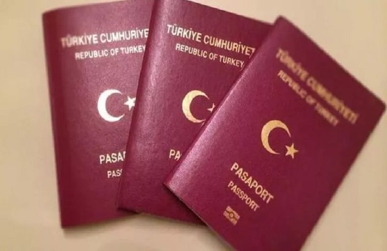 Turkey e-Visa for citizens of Bermuda| Turkey e-Visa purposes