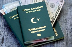 Turkey E-Visa process