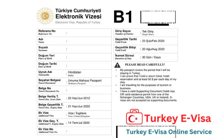 Turkey E-visa application form