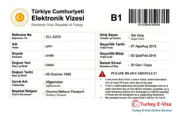 How Long Does Turkey E-visa Take? - Example