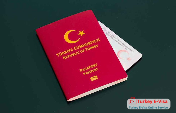 Turkey E-visa Errors - Don't Worry!