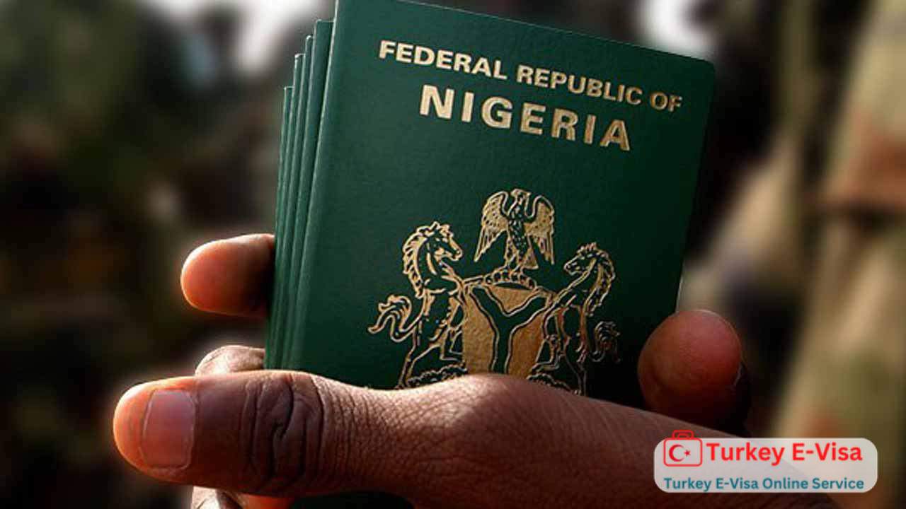 Turkey E-visa For Nigerian-Nigeria
